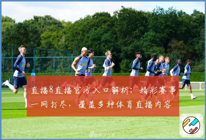 直播8直播官方入口解析：精彩赛事一网打尽，覆盖多种体育直播内容